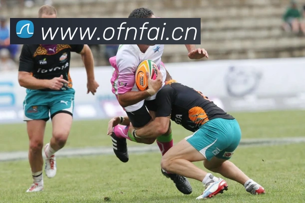 星空体育官网在线登陆服务体系